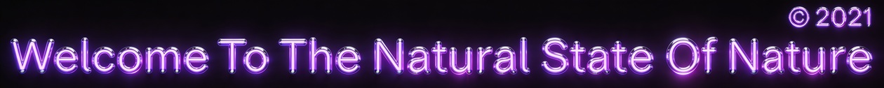 The Natural State of Nature Header